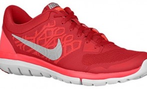 best shoes for zumba nike